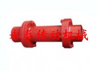 DF型带短节联轴器